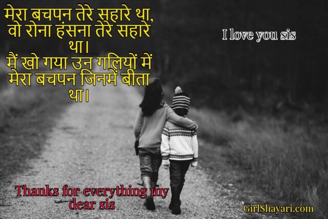Sister quotes , sister birthday quotes in hindi